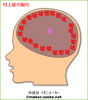 %C2%BC%BE%E5%CB%BE.gif